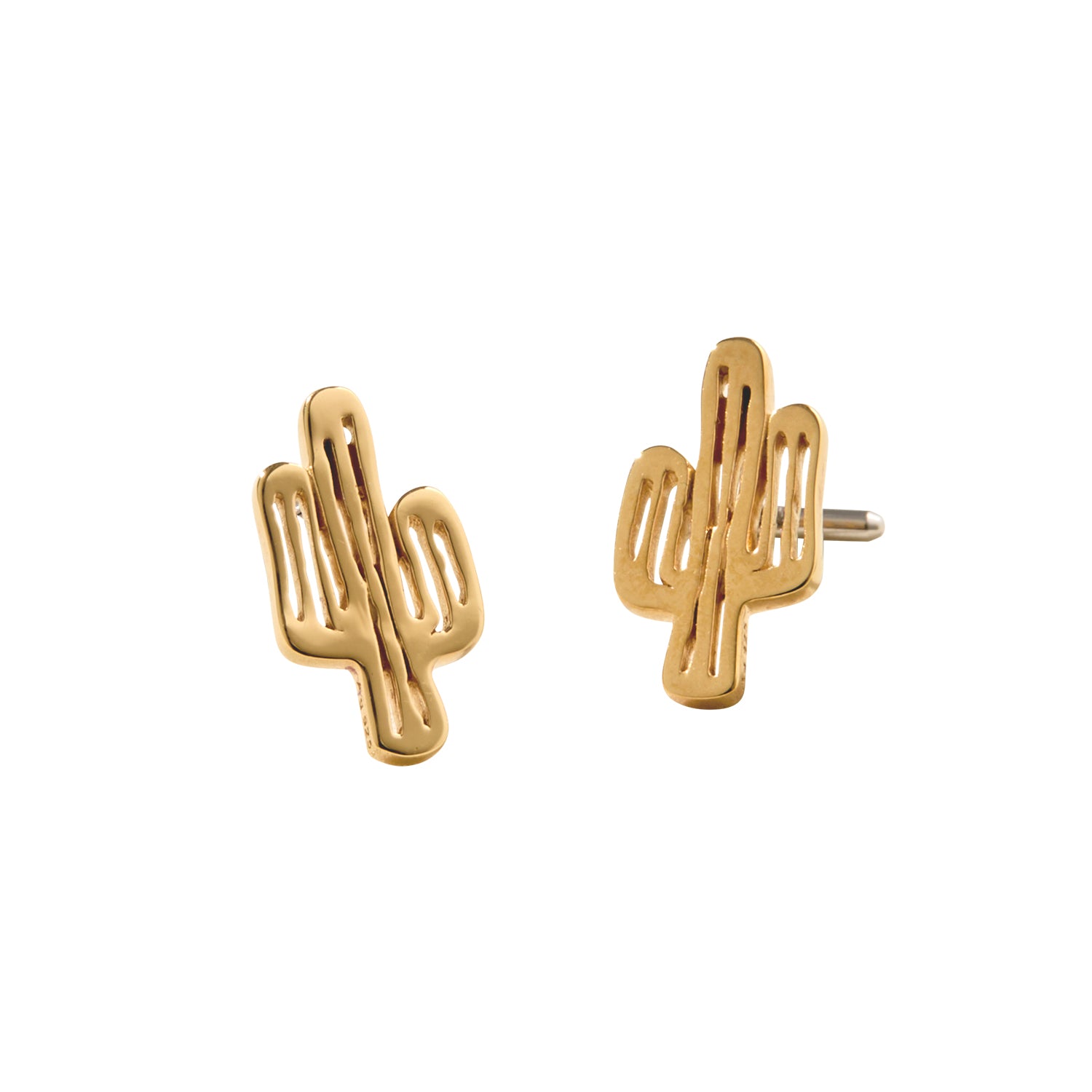 Amity Cactus Gold