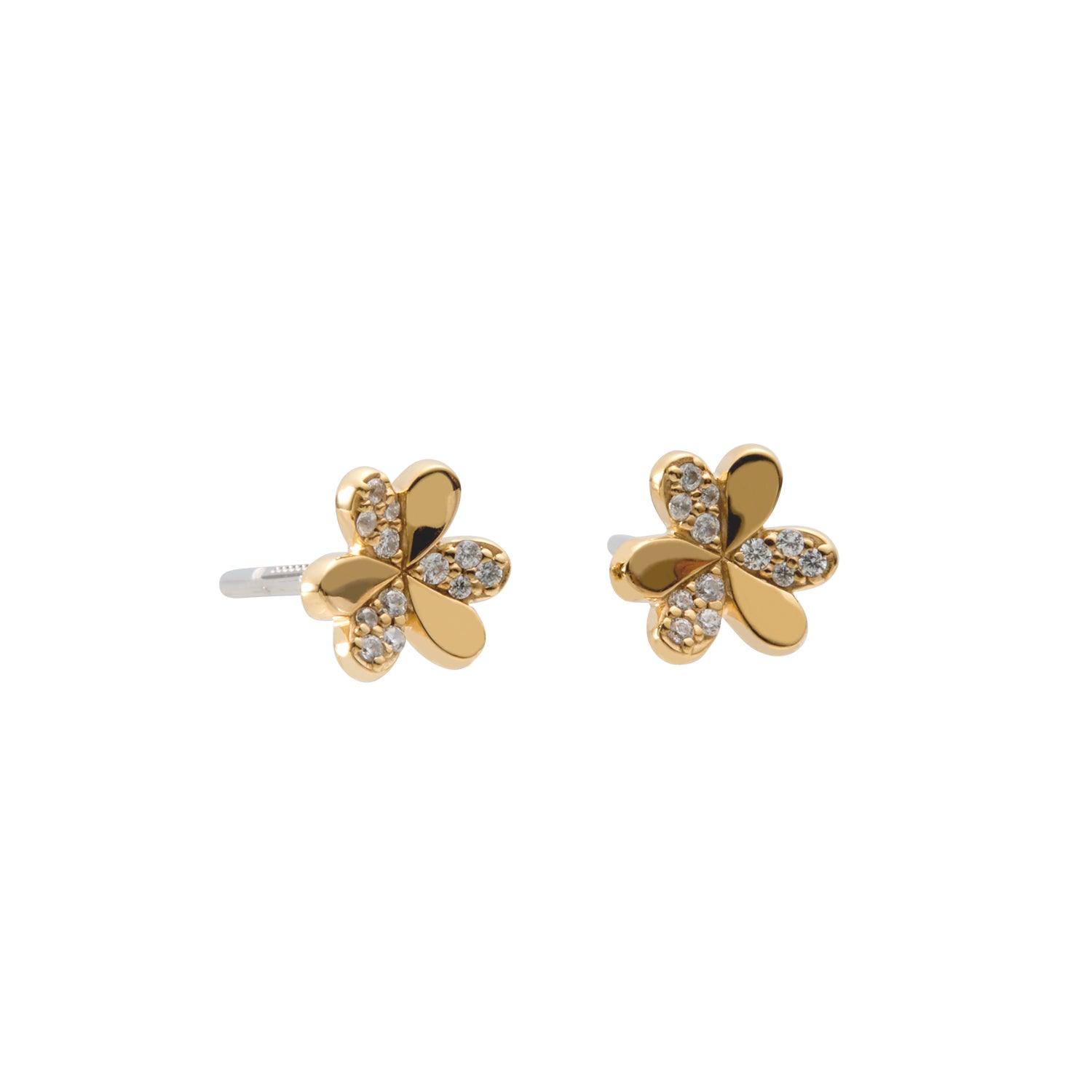 Honesty Floral Gold