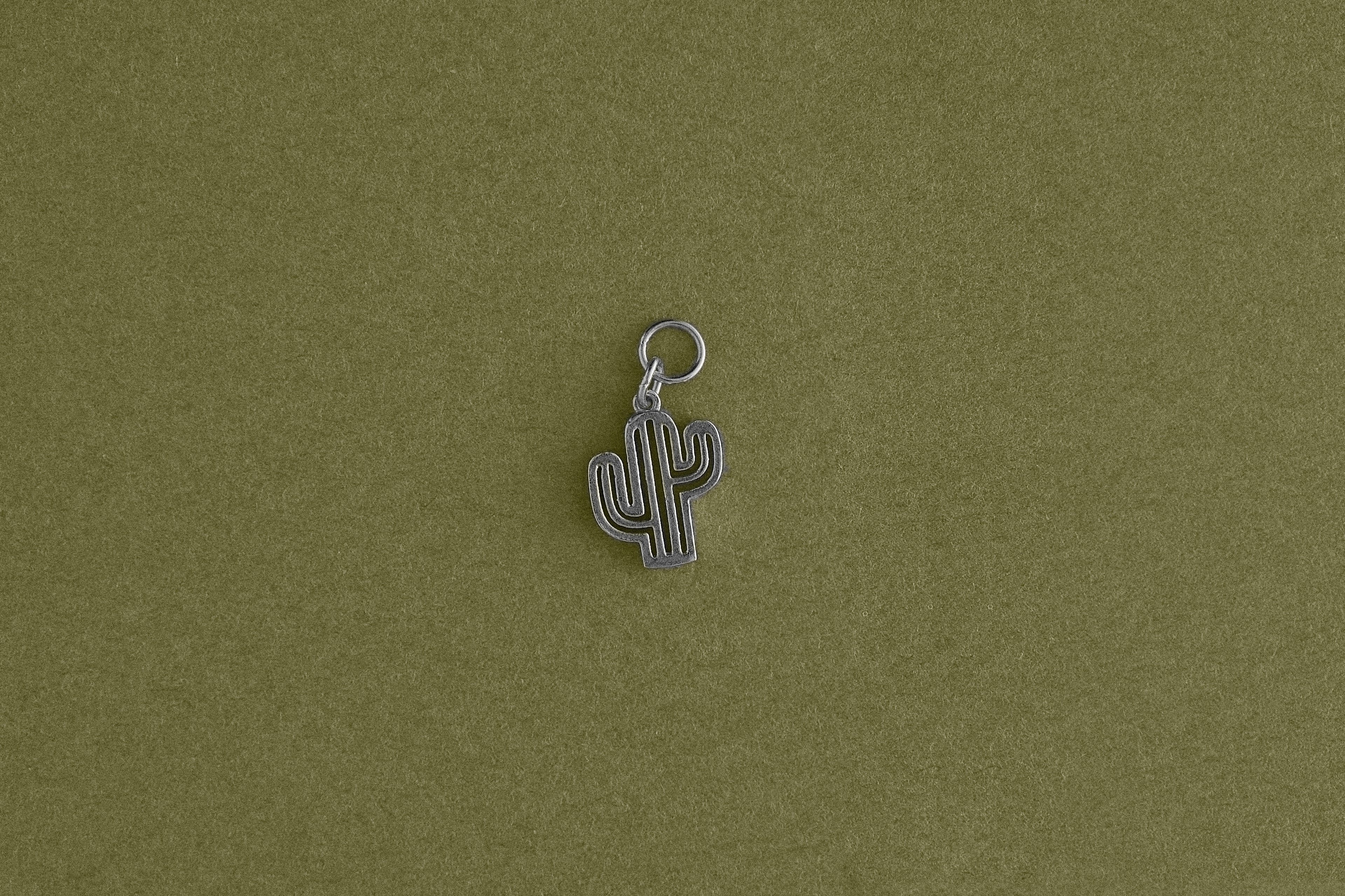 Ludique Cactus Silver