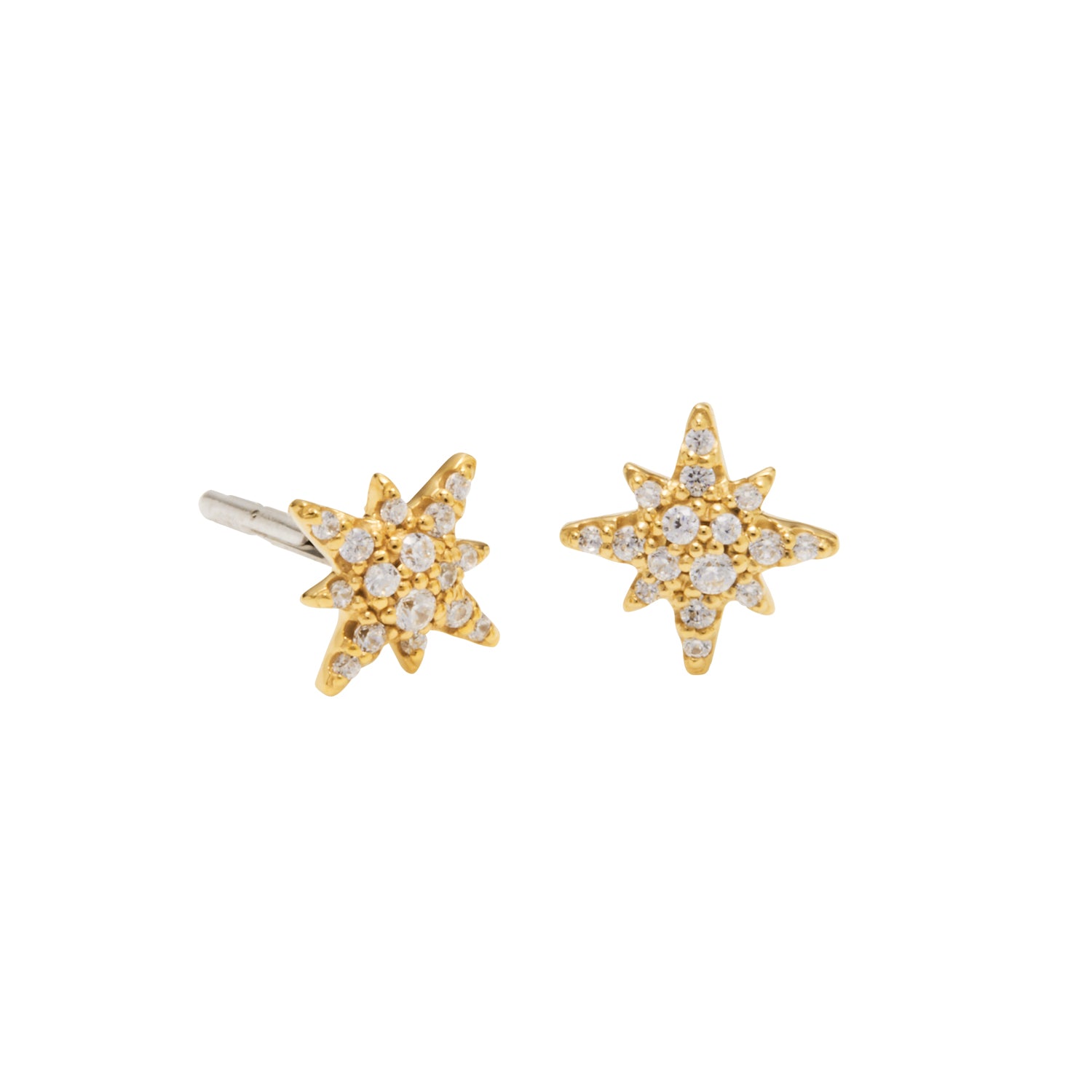 Honesty Astra Gold