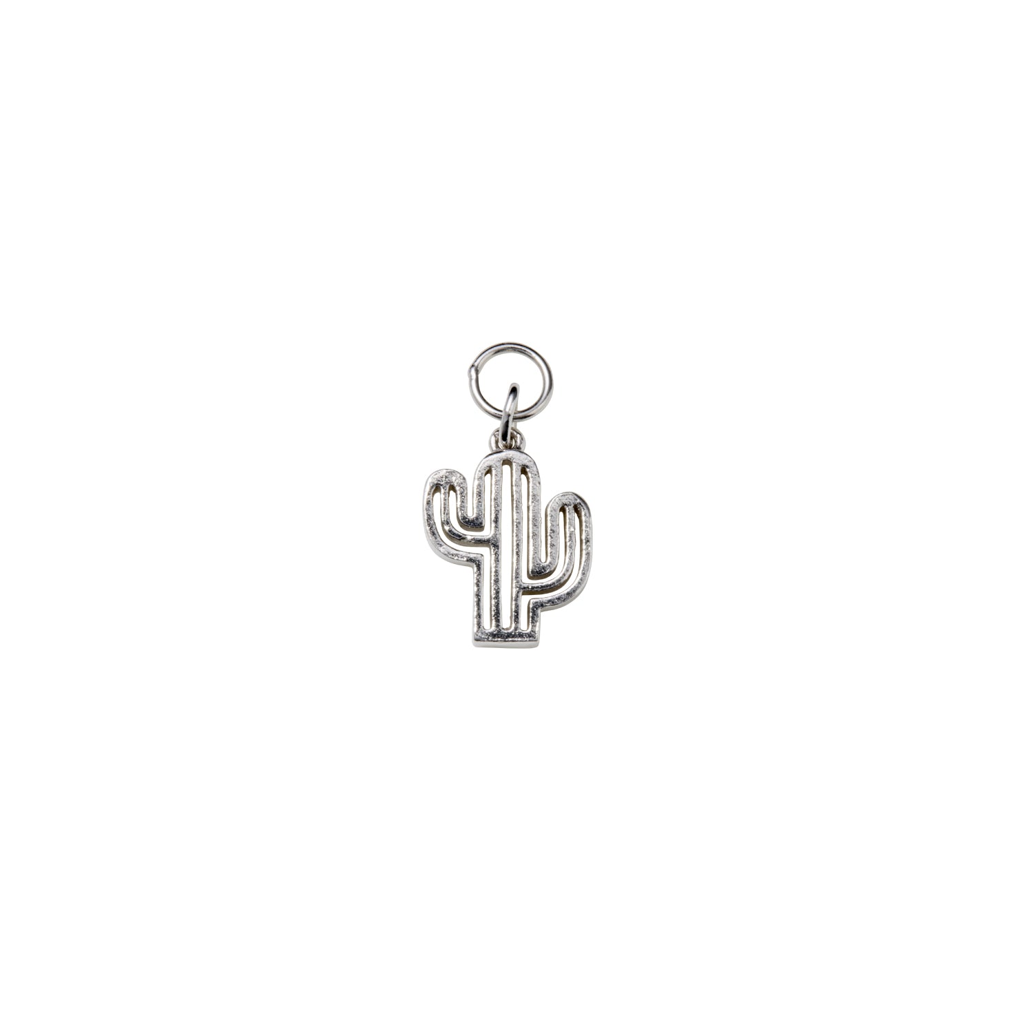 Ludique Cactus Silver